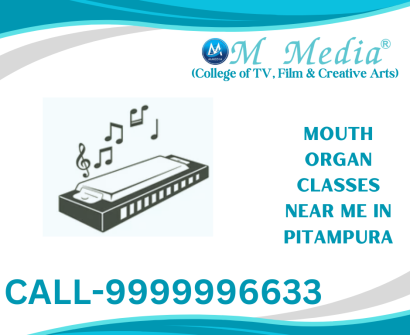 Mouth Organ Classes Near Me In Pitampura